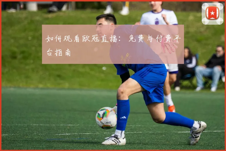 如何观看欧冠直播:免费与付费平台指南